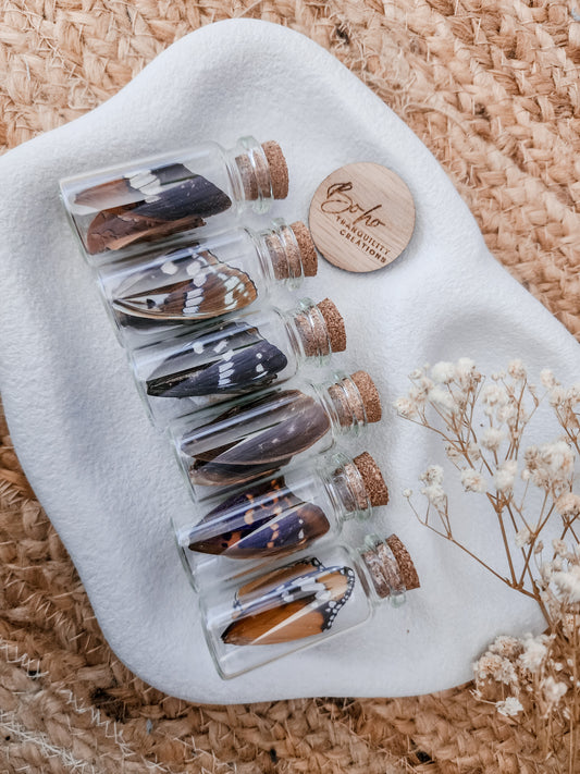 BUTTERFLY WINGS BOTTLE (MEDIUM)