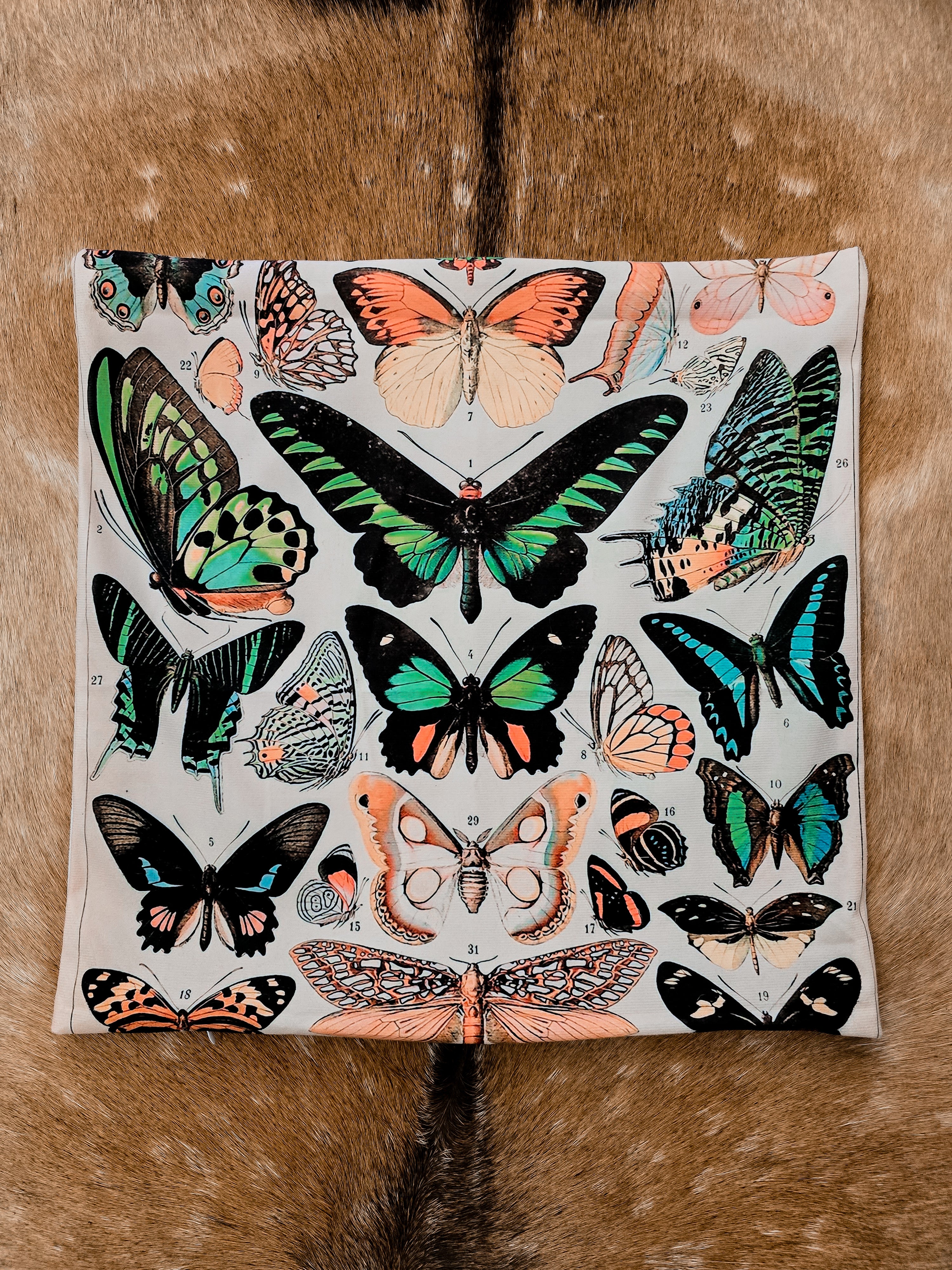 BUTTERFLY PRINT CUSHION COVER
