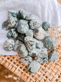 MOSS AGATE TUMBLED STONES - XL